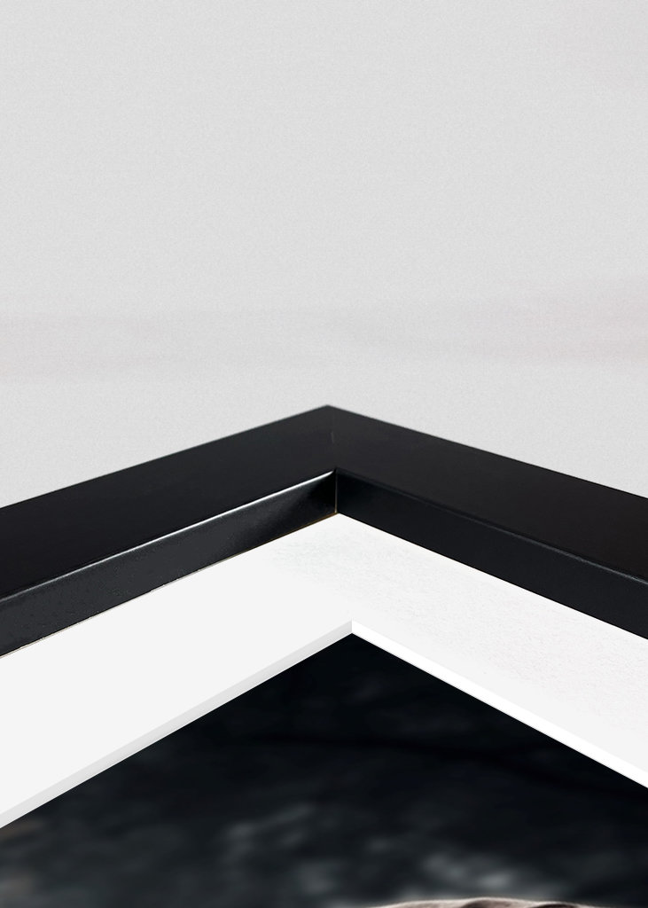 Elephant - "STRENGTH"