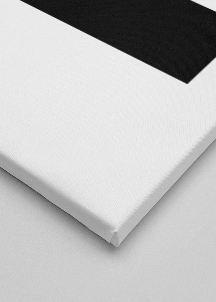 Giant Panda Modern Art