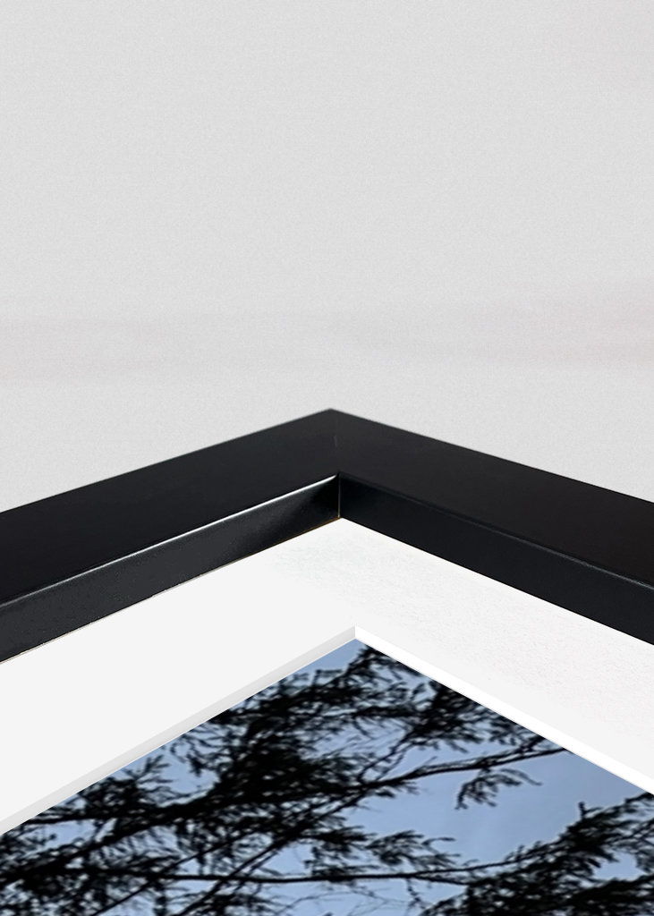 Chata v korunách stromov 