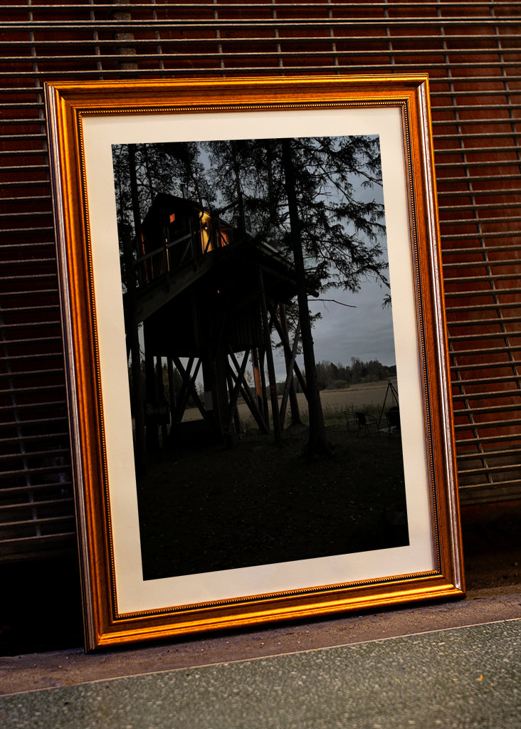 Chata v korunách stromov 