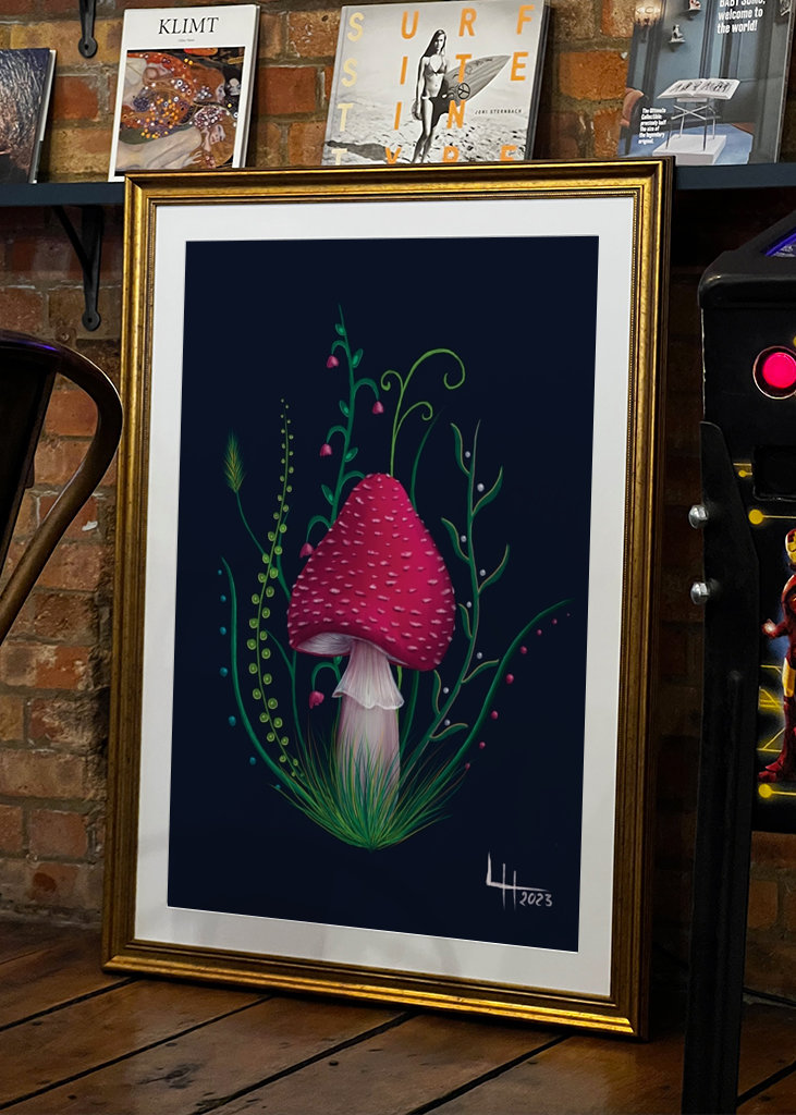 Houby Dreams Mucholapka