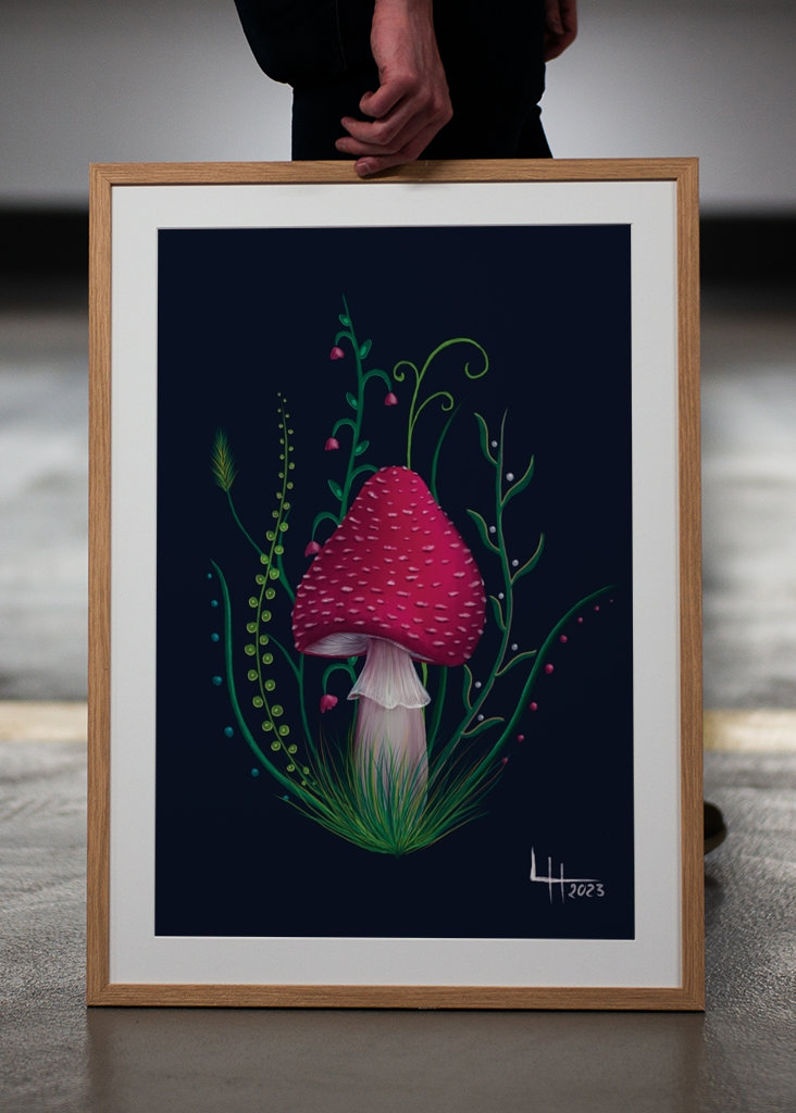 Houby Dreams Mucholapka