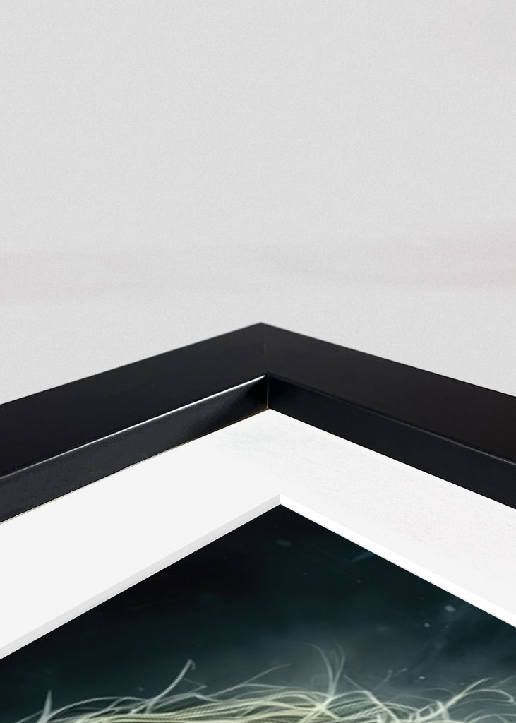 Heath Ledger jako Joker II