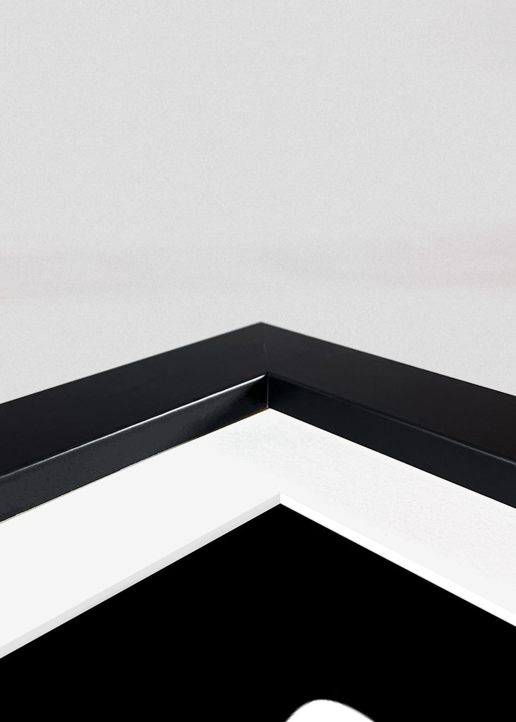 Ganzenspel Grappig Gamen