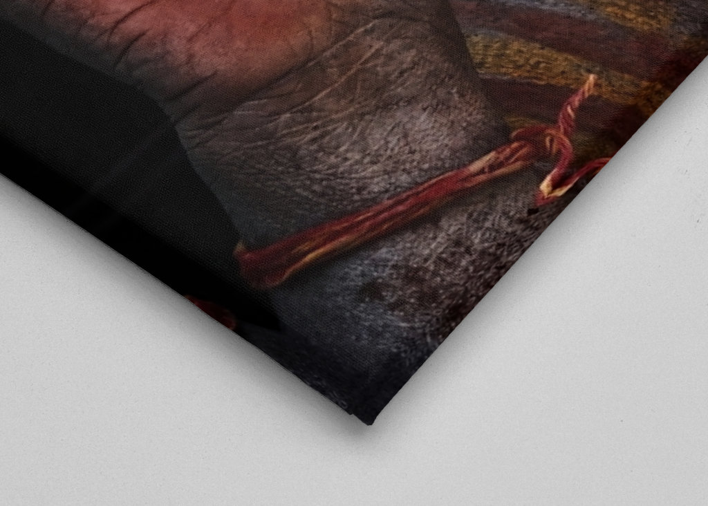 Portrait eines Hindu Sadhu