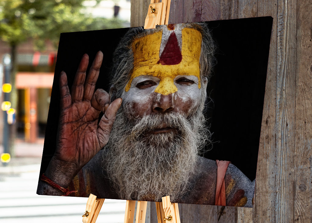 Portrait eines Hindu Sadhu