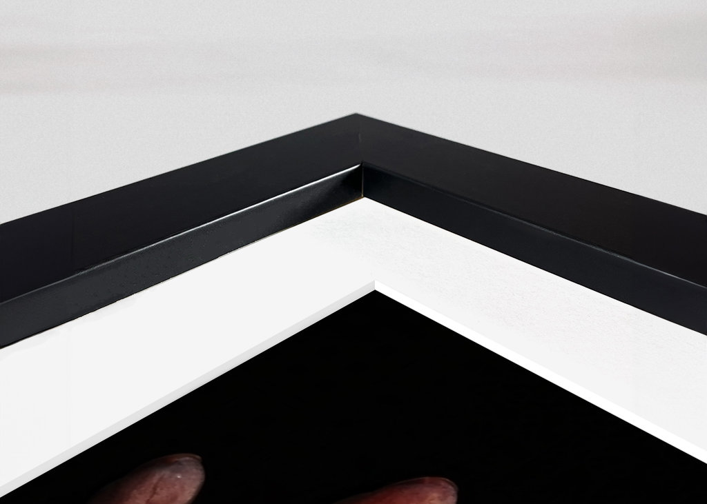 Portrait eines Hindu Sadhu