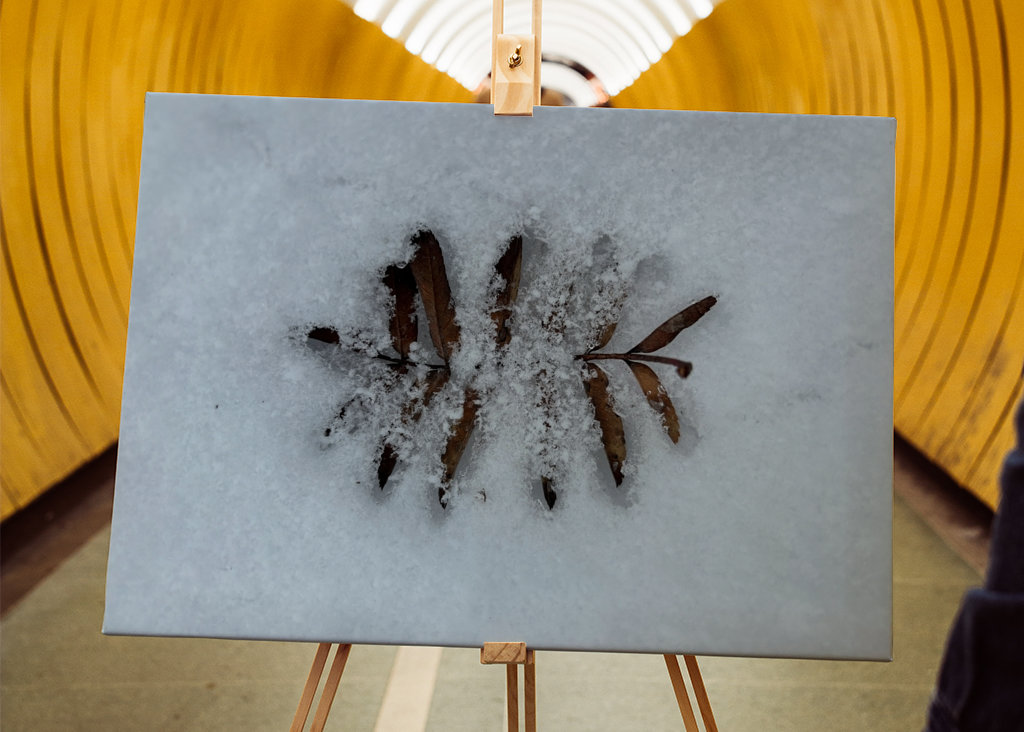 Když se potká podzim a zima 