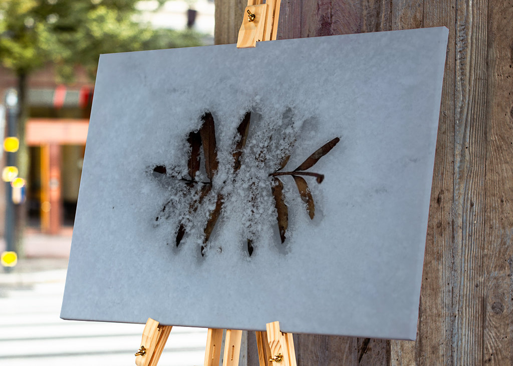 Když se potká podzim a zima 