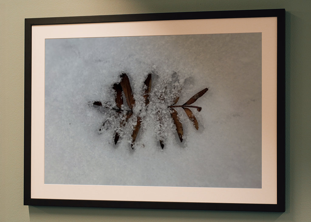 Když se potká podzim a zima 