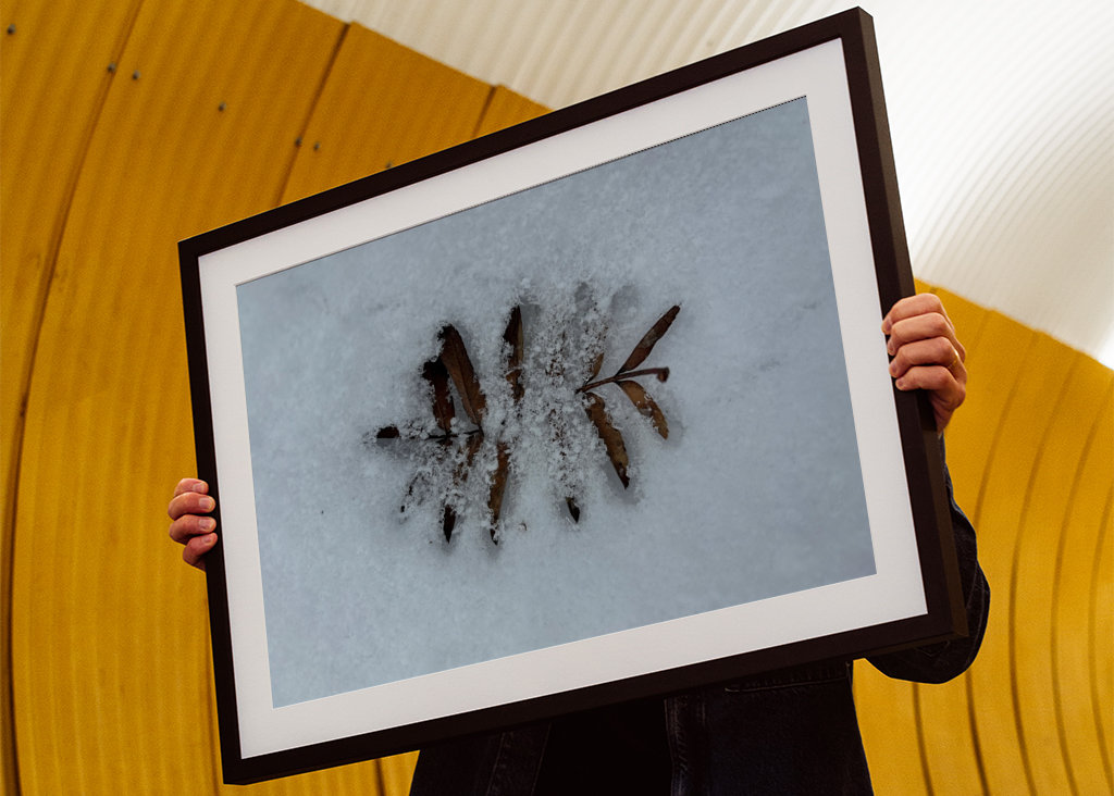 Když se potká podzim a zima 