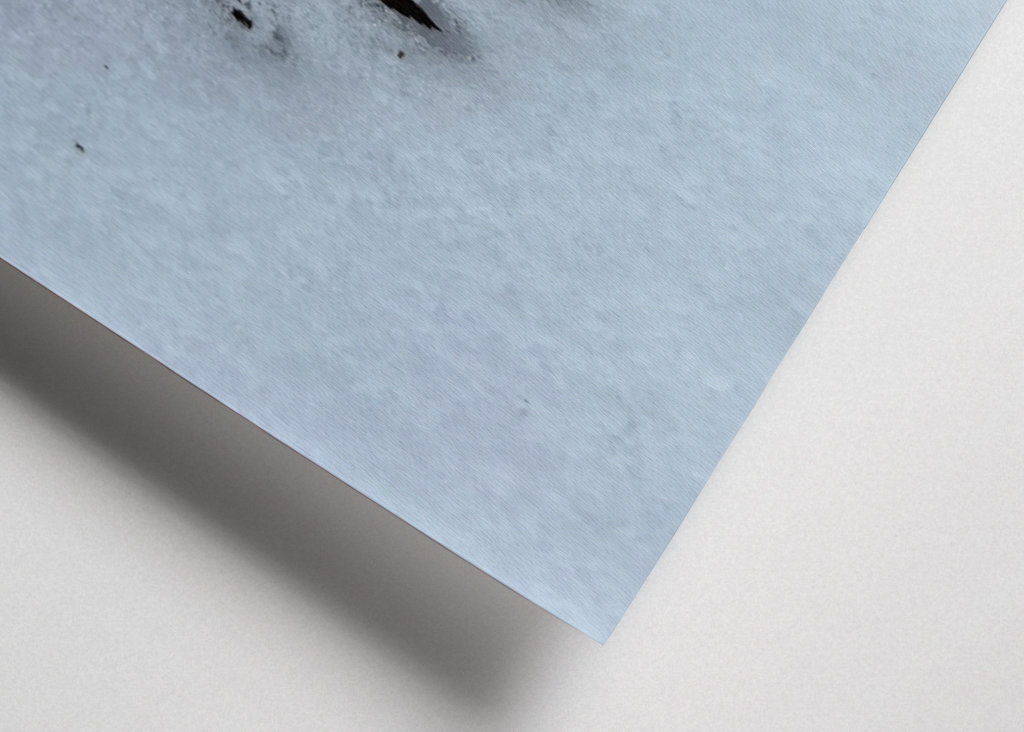 Když se potká podzim a zima 