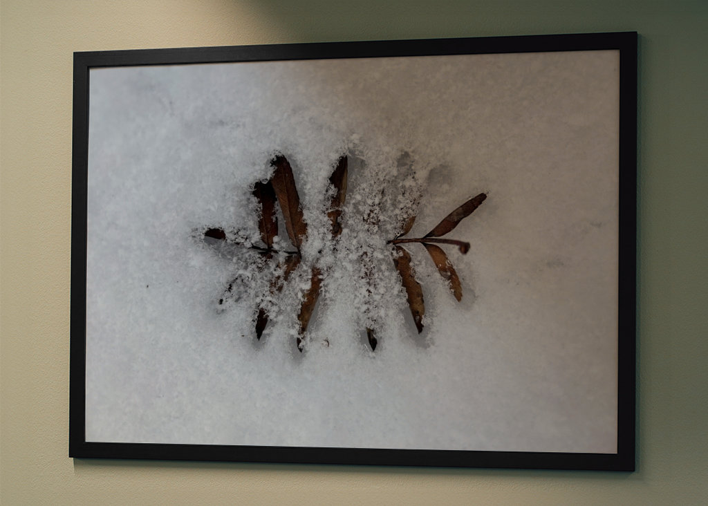 Když se potká podzim a zima 