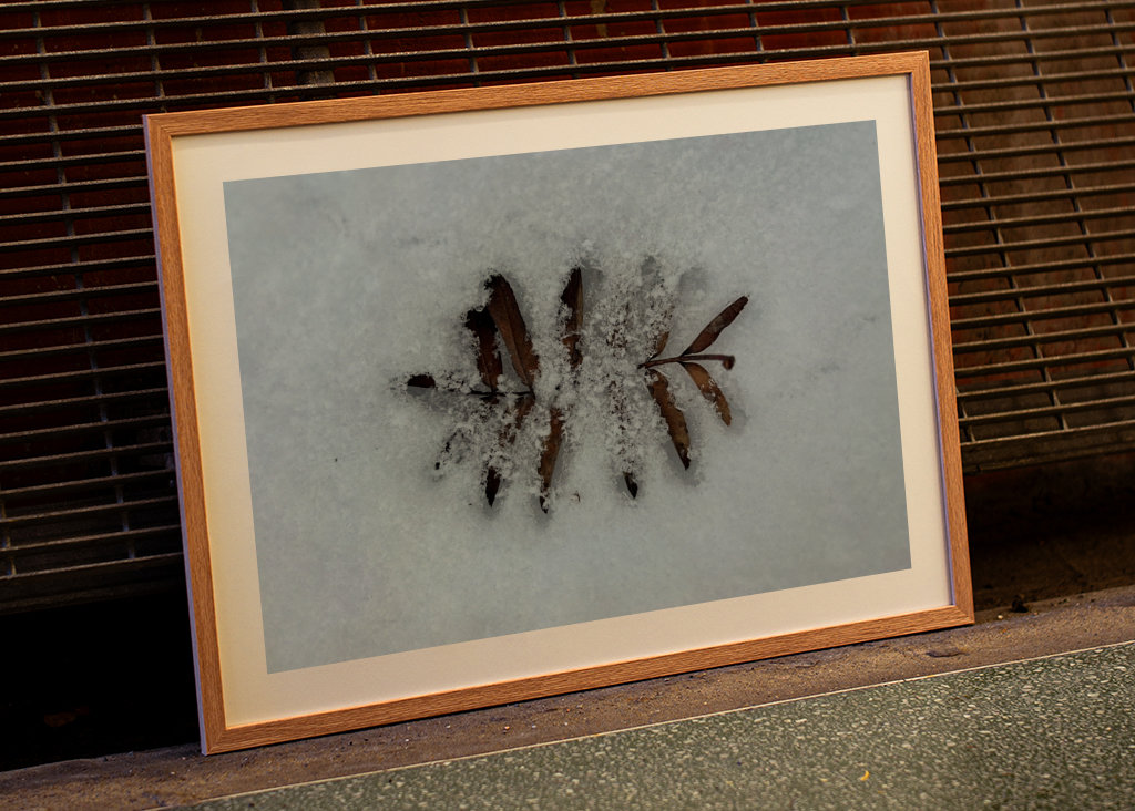 Když se potká podzim a zima 