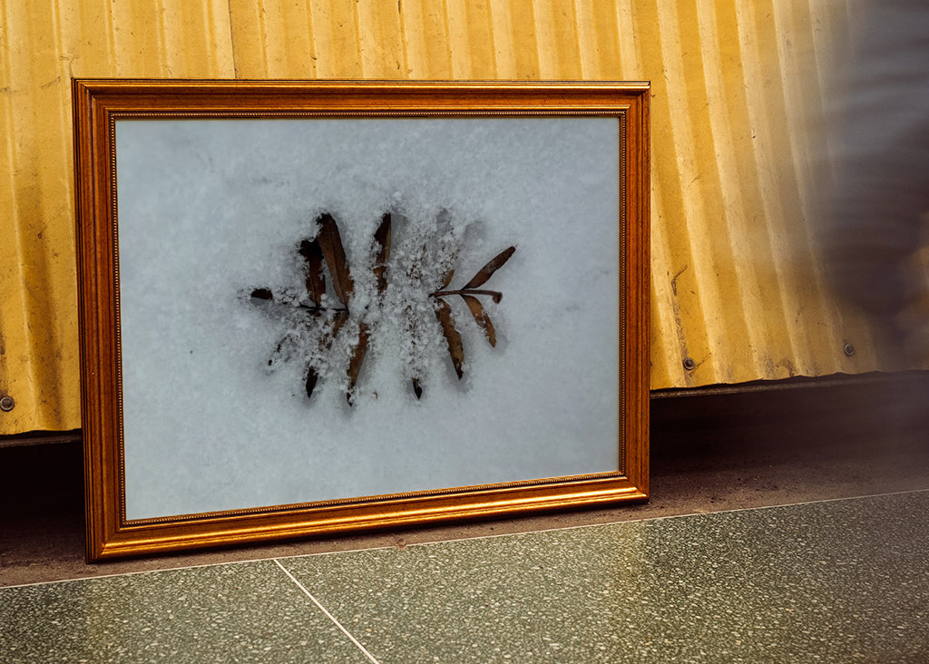 Když se potká podzim a zima 