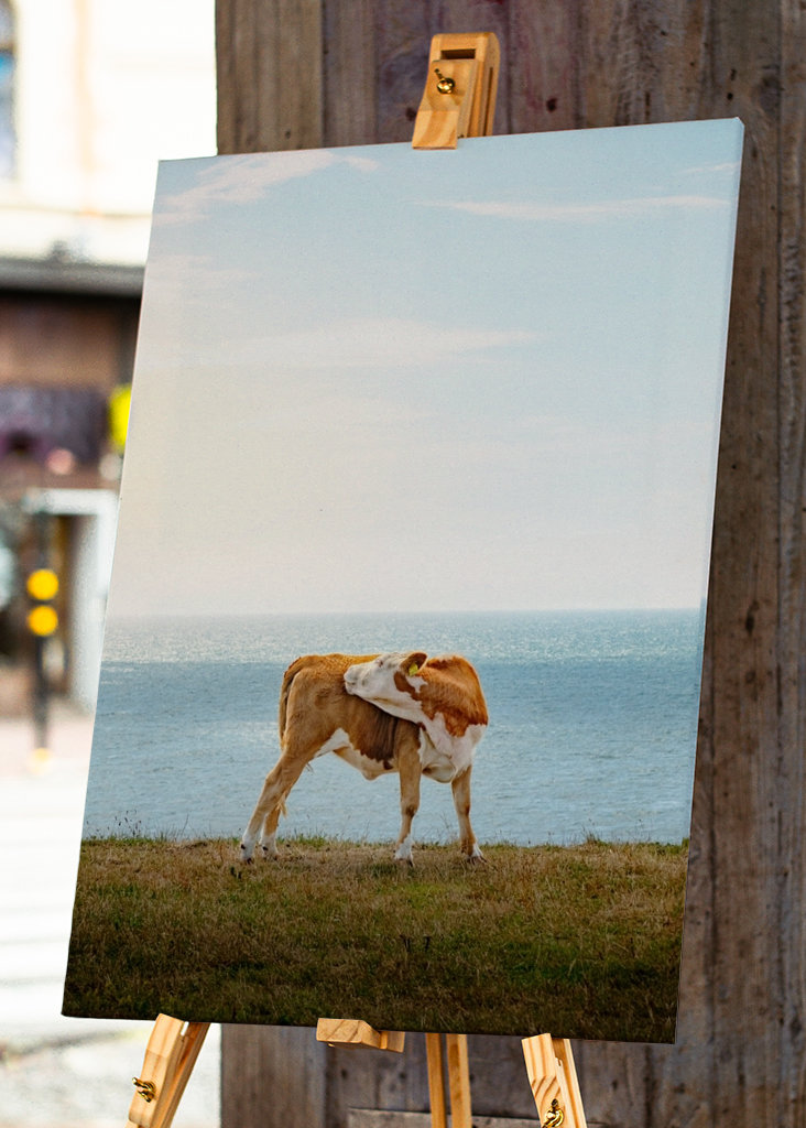 Soldyrkarkossan Ales stenar