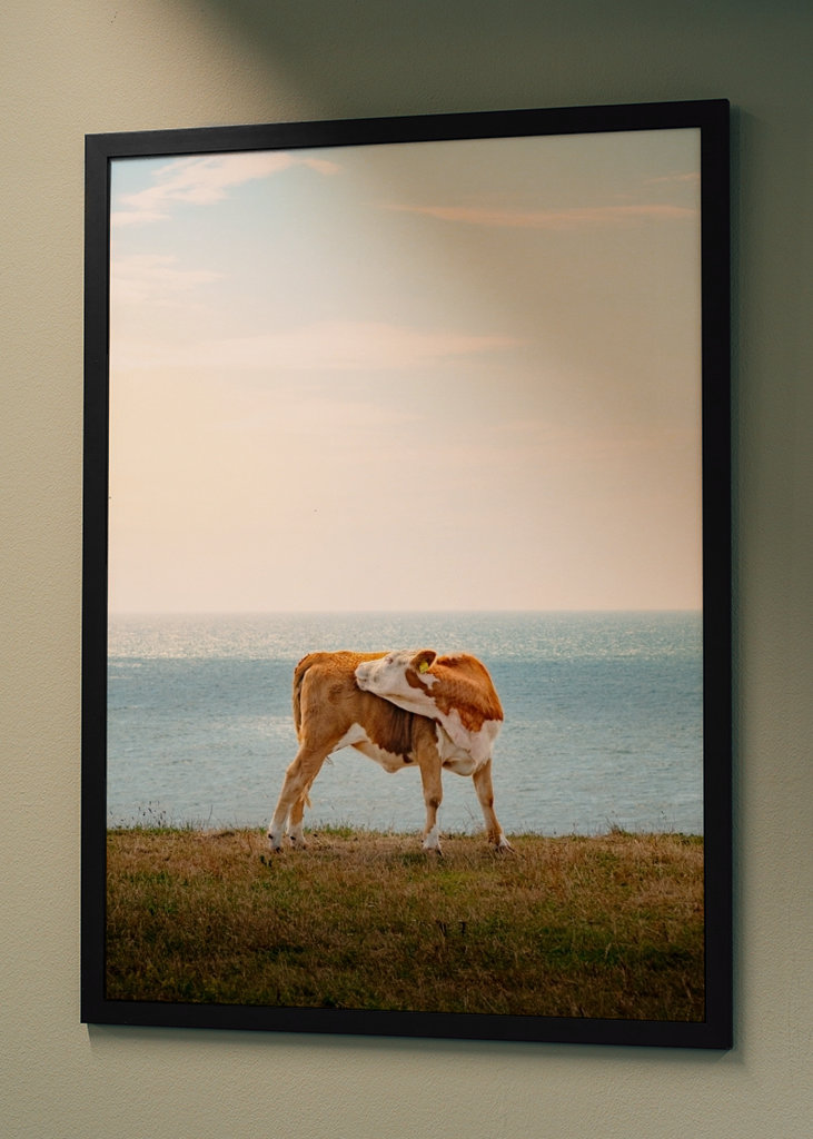 Soldyrkarkossan Ales stenar