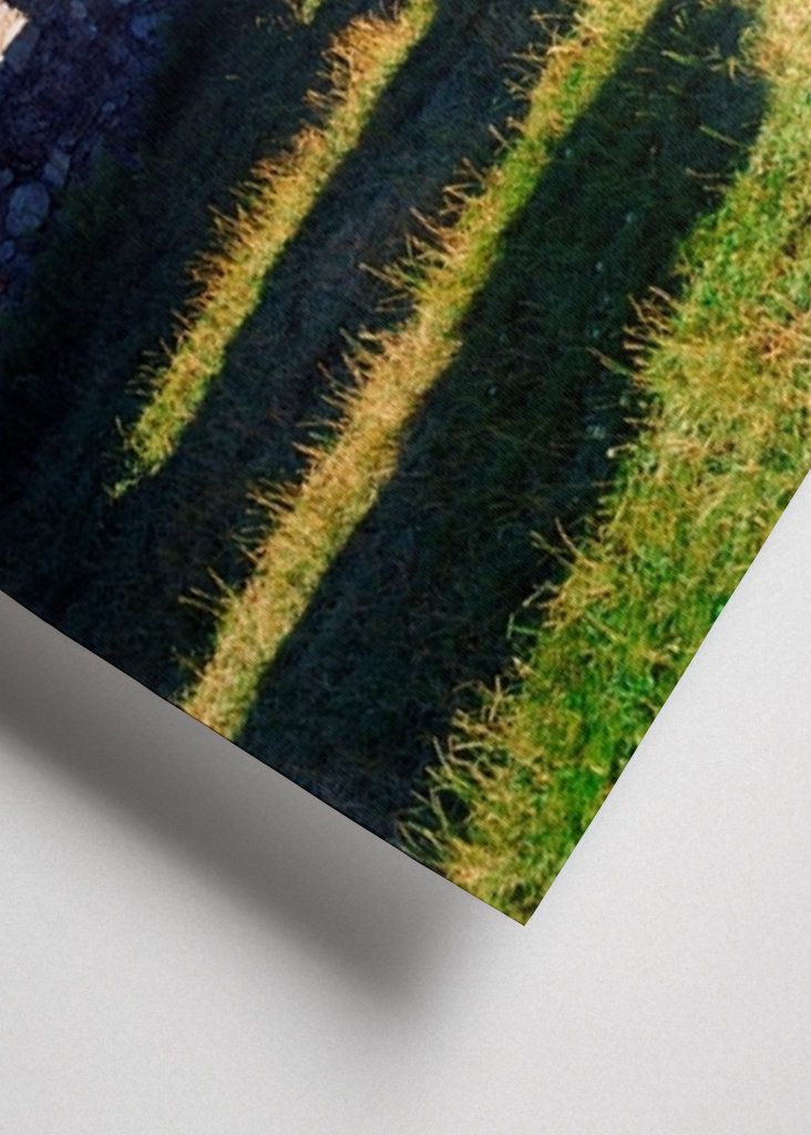 Castle in the mountains