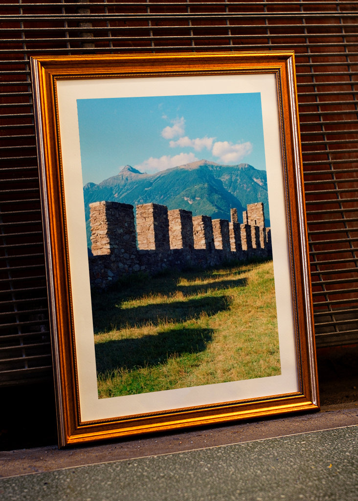 Castle in the mountains