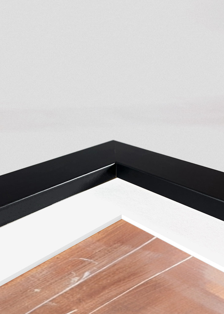 Freddie Mercury Queen obraz