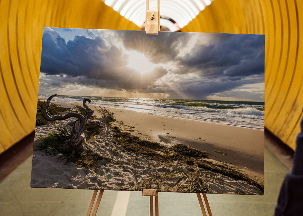 Darßer Weststrand - Ostsee