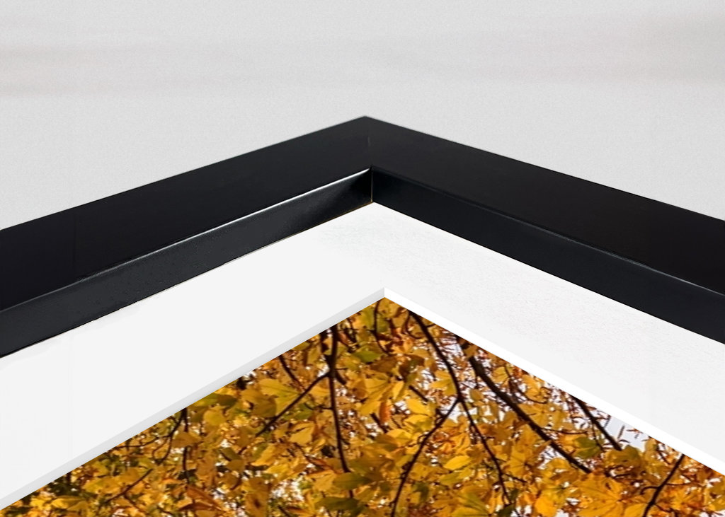 Bregenz on Lake Constance