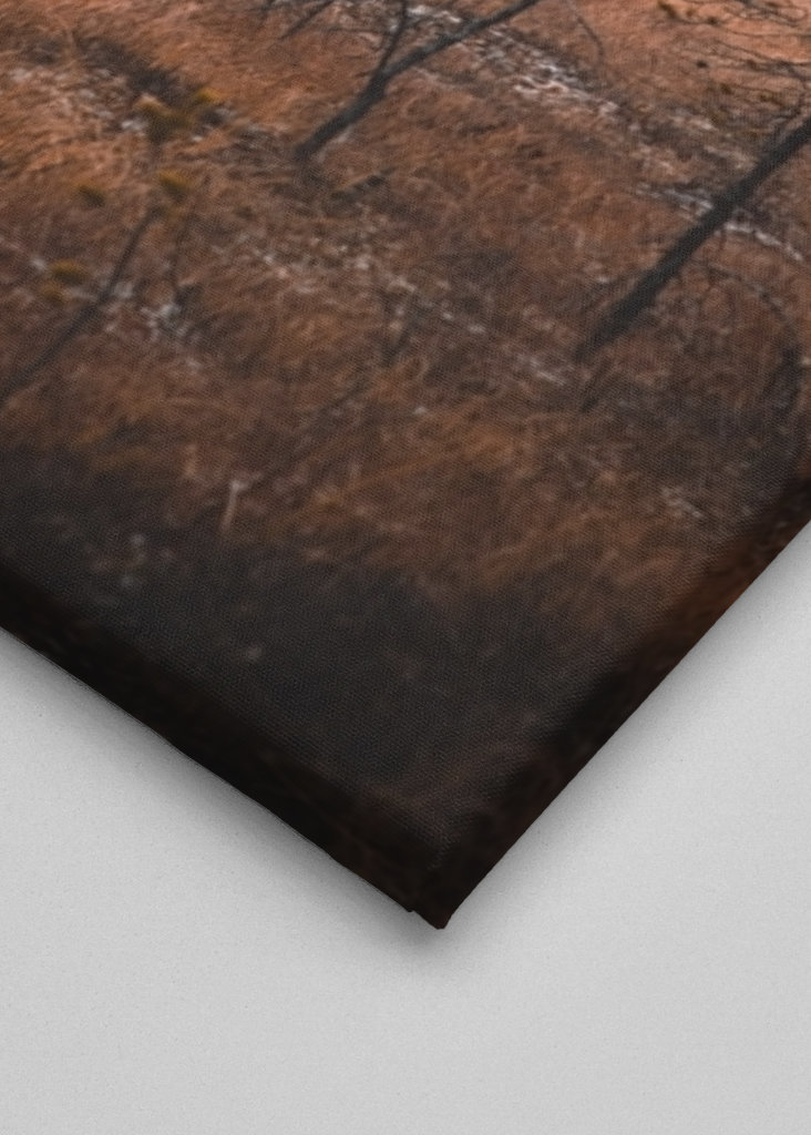 Rondane-Nationalpark, Norwegen 