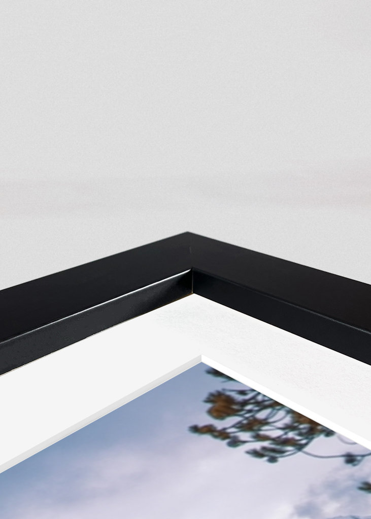 Rondane-Nationalpark, Norwegen 