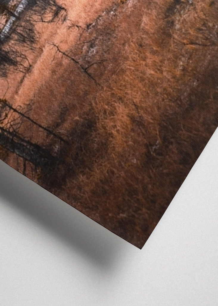 Rondane-Nationalpark, Norwegen 