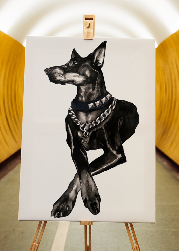 Dobermann dog w/ rivet collar