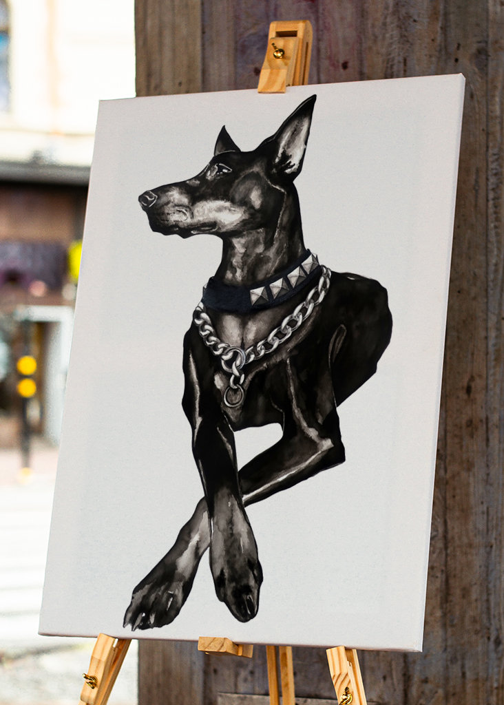 Dobermann dog w/ rivet collar