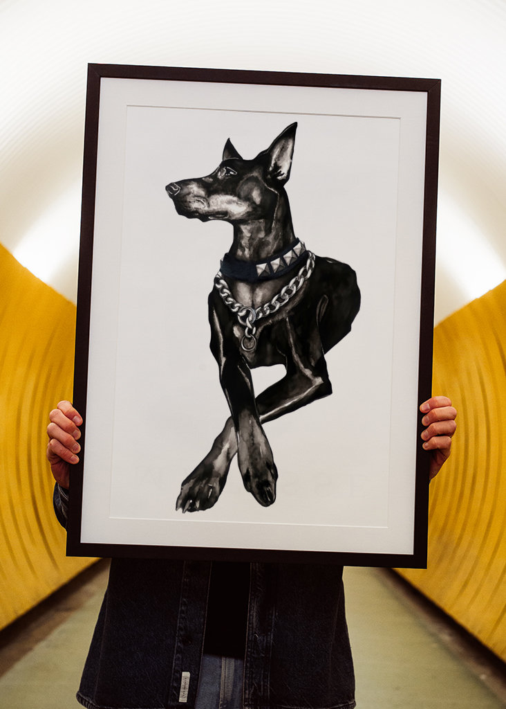 Dobermann dog w/ rivet collar