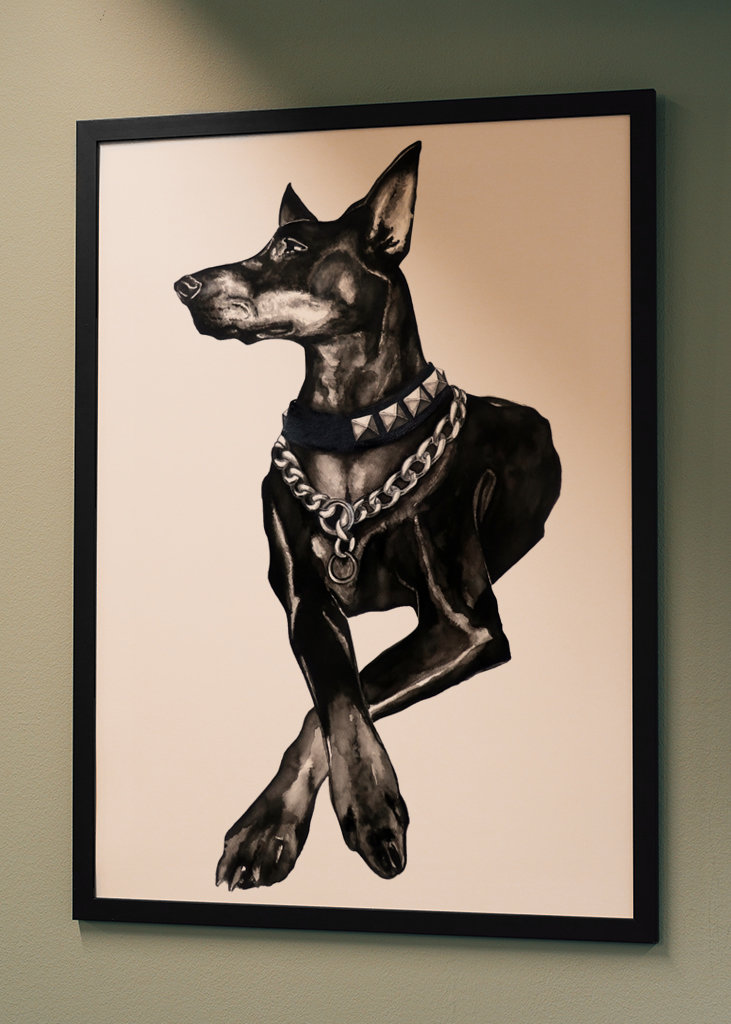 Dobermann dog w/ rivet collar