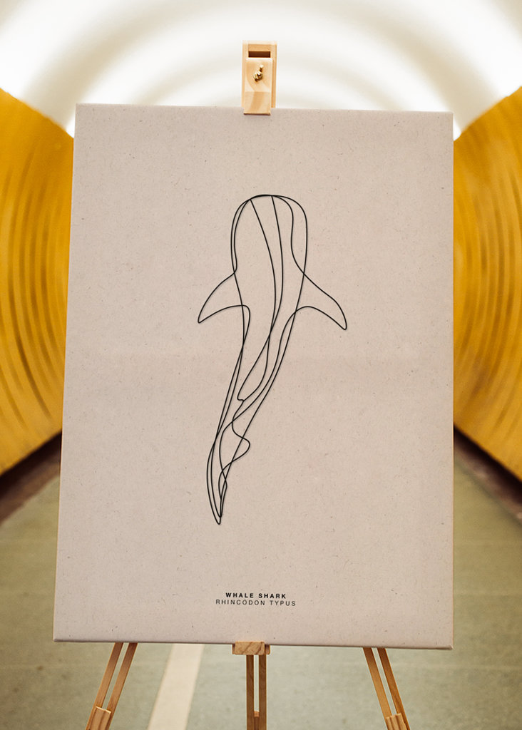 Line Art Whale Shark