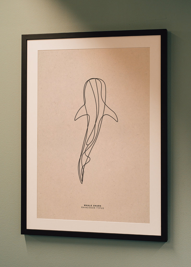 Line Art Whale Shark