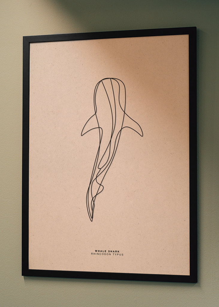 Line Art Whale Shark