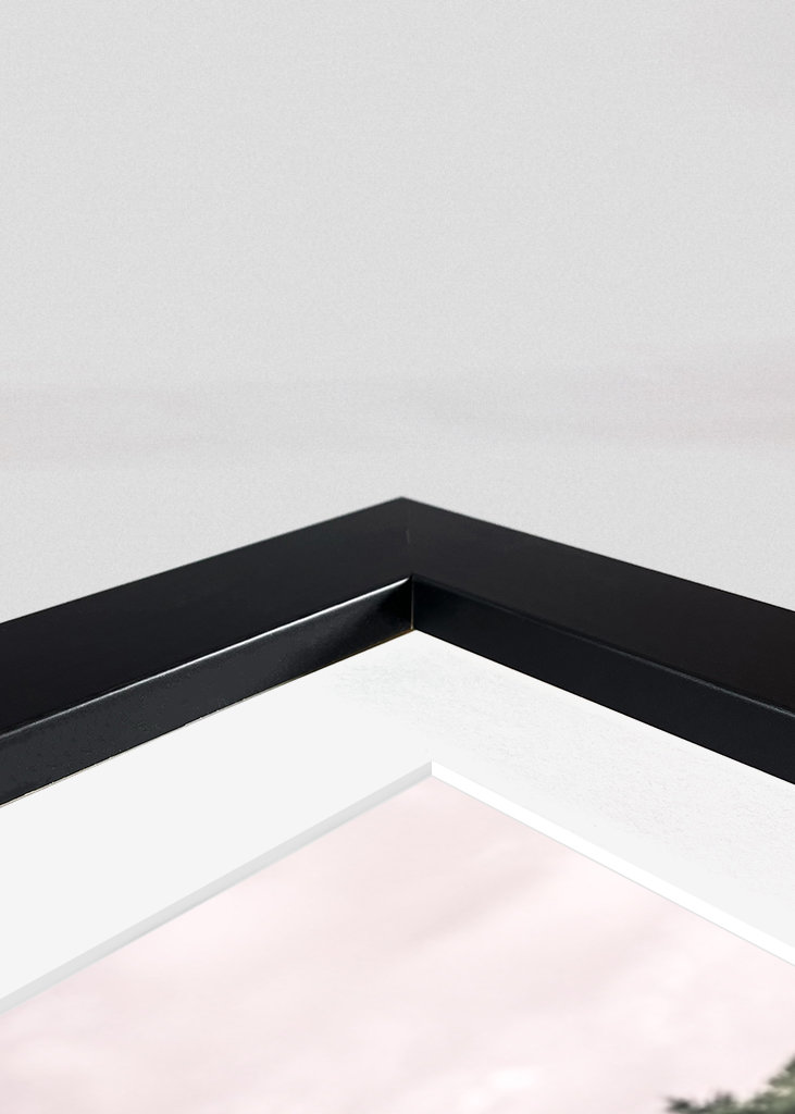 Vikingská loď v Dánsku