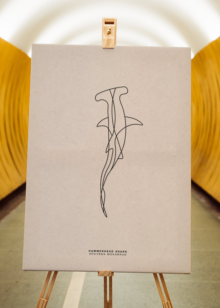 Line Art Hammerhead Shark