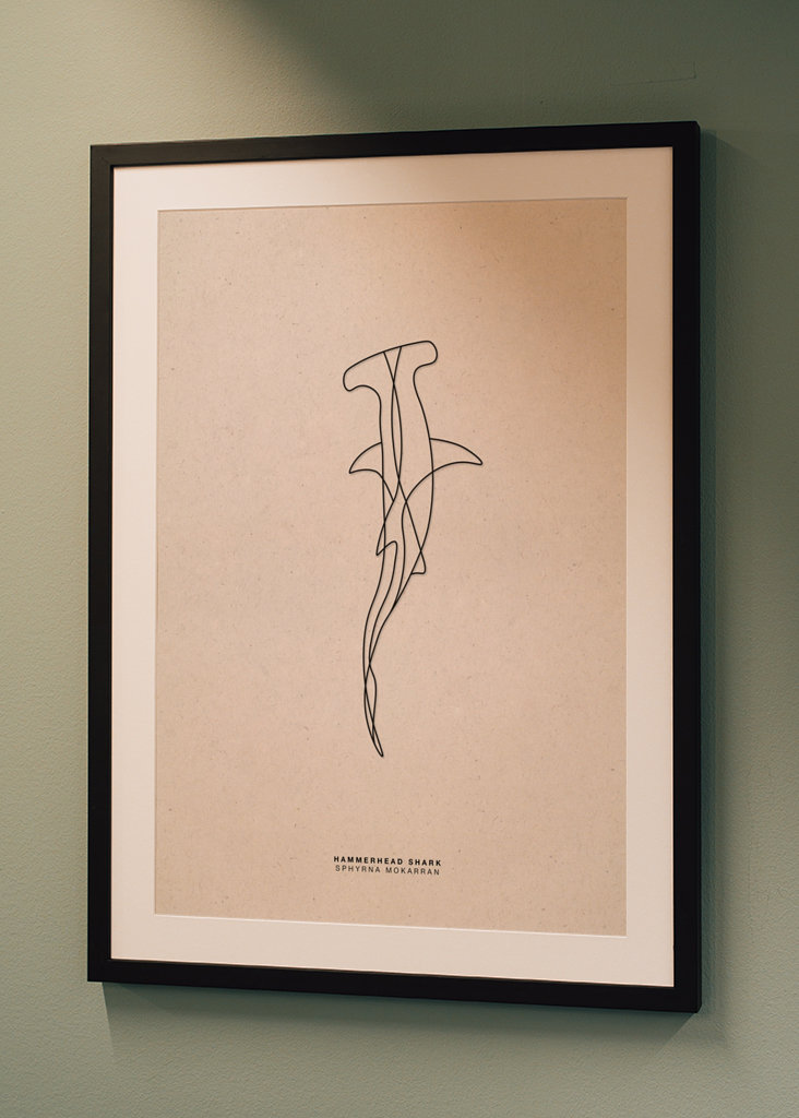 Line Art Hammerhead Shark