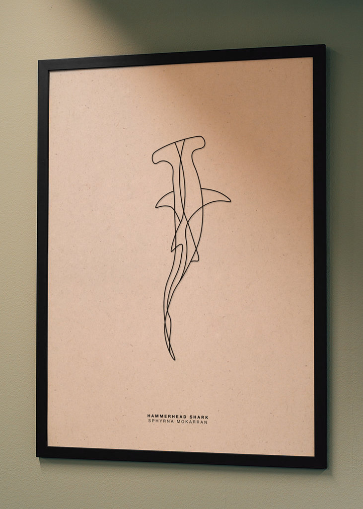 Line Art Hammerhead Shark
