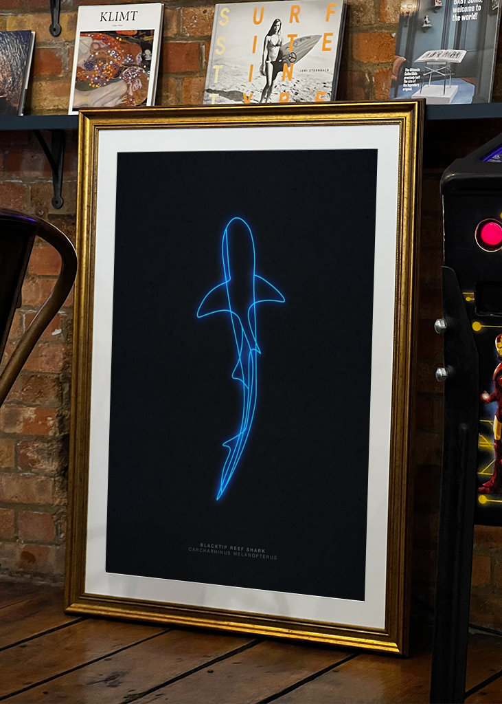 Neon Art Riffhai