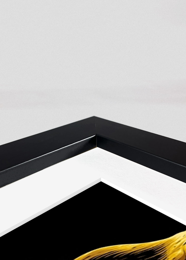 Exodia the Forbidden One