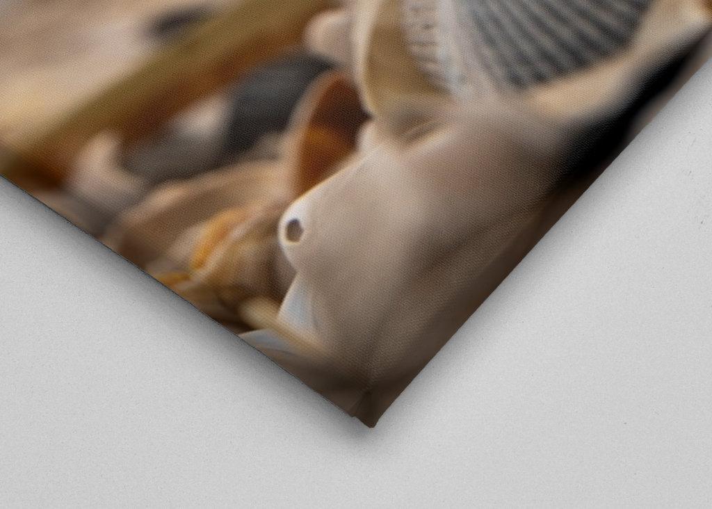 Glass ball in a pile of shells