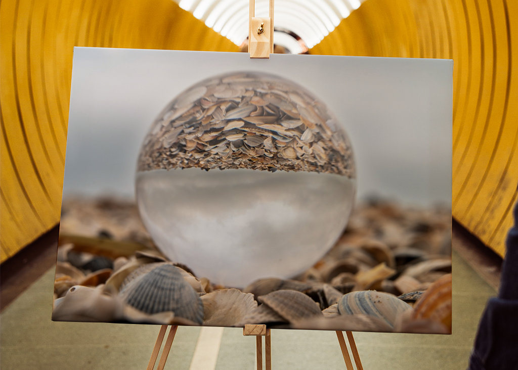 Glass ball in a pile of shells