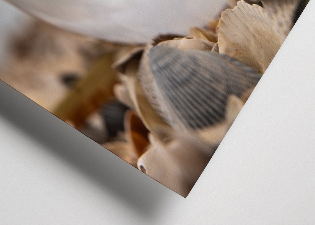 Glass ball in a pile of shells