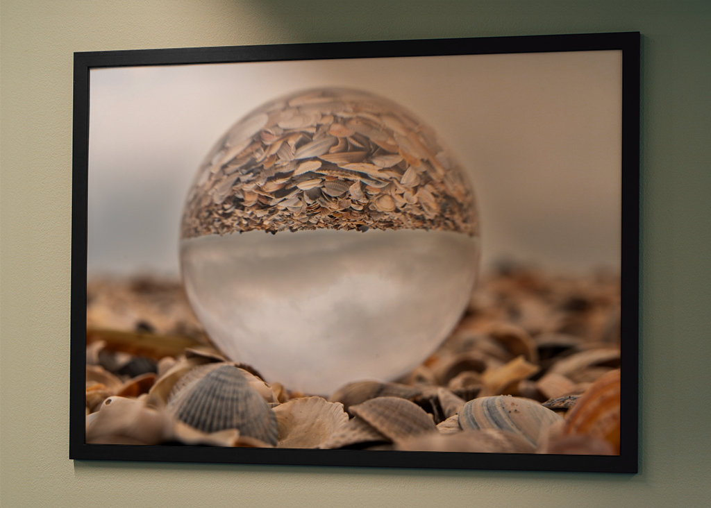 Glass ball in a pile of shells