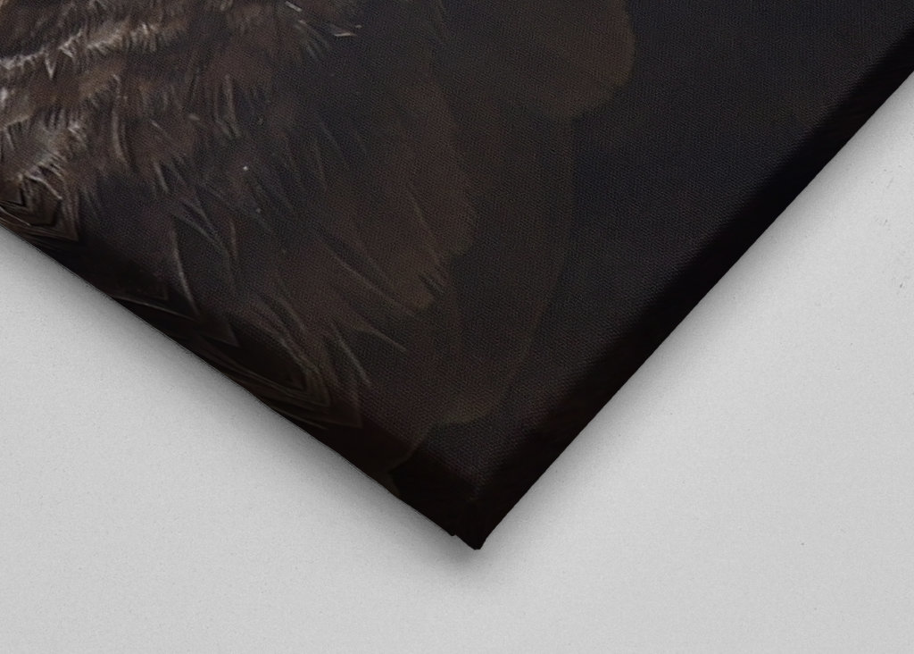 Oister Catcher with a catch