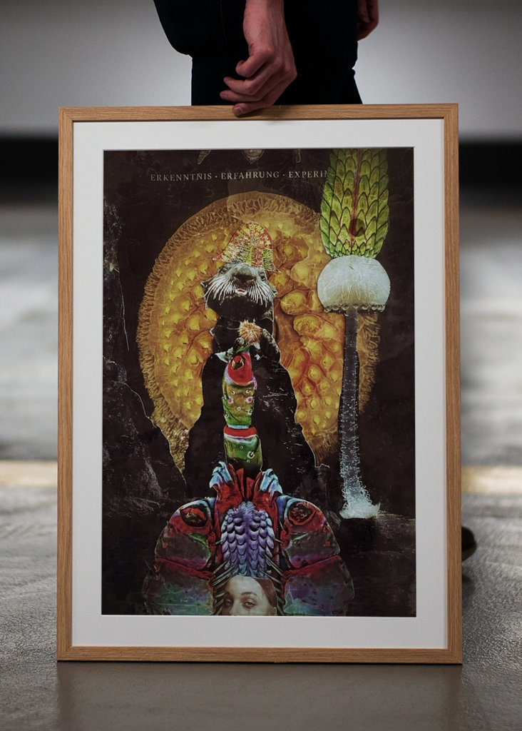 Bienvenidos al lado de las nutrias