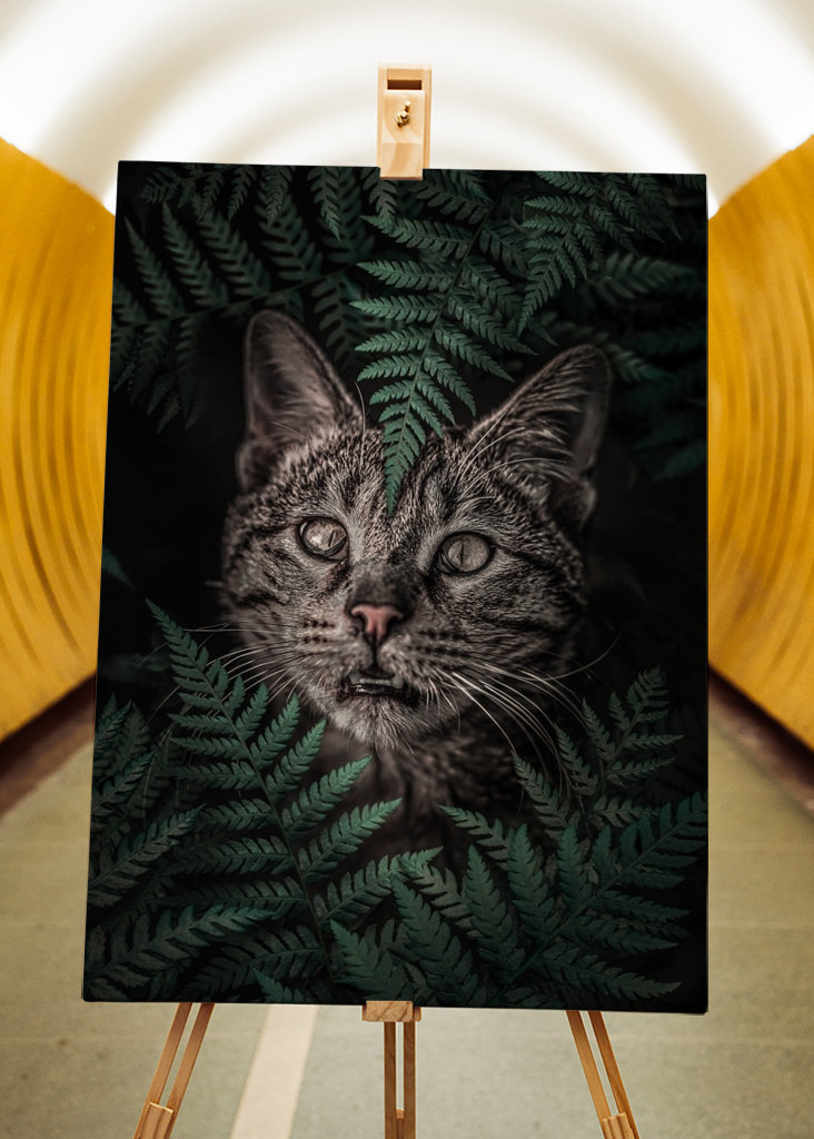 Ach ja, kat in varens