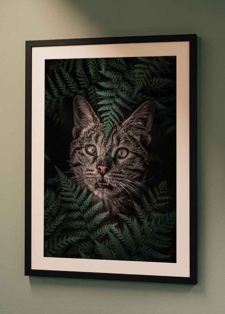 Ach ja, kat in varens